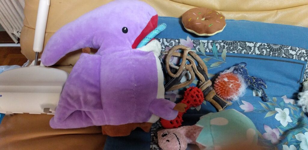 愛犬Pelがいつも遊んでいる、玩具の一部の画像