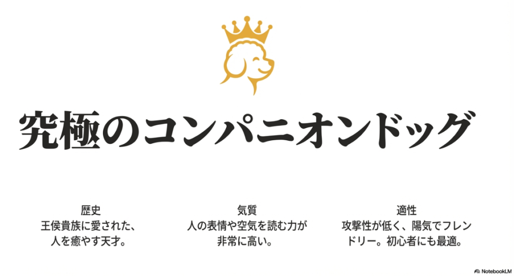 フランス宮廷で愛された「究極のコンパニオンドッグ」としての歴史や、人の表情や空気を読む力に長けているという性格的特徴を解説したスライド