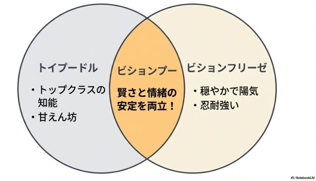 トイプードルの知能とビションフリーゼの穏やかさを兼ね備え、賢さと情緒の安定を両立していることを示す図解