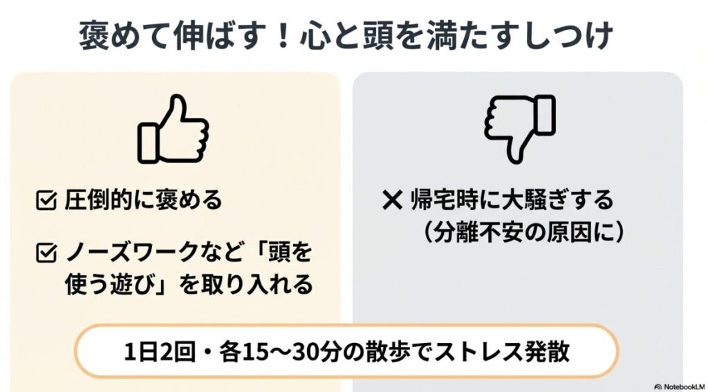 褒めるしつけや頭を使う遊びの重要性と、分離不安を防ぐための帰宅時の接し方、1日2回の散歩目安をまとめたスライド