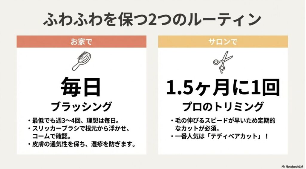 毎日のブラッシングと1.5ヶ月に1回のプロによるトリミングという、被毛を保つ2つのルーティンを解説したスライド