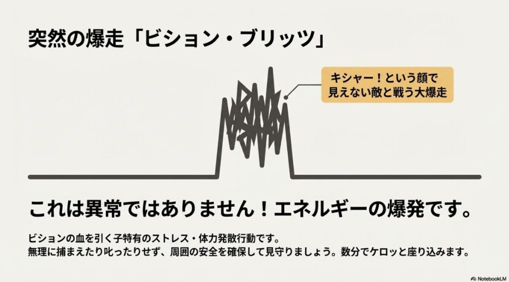 	
ポメビションが突然激しく走り回る行動は異常ではなく、エネルギーの発散であることを説明した解説スライド