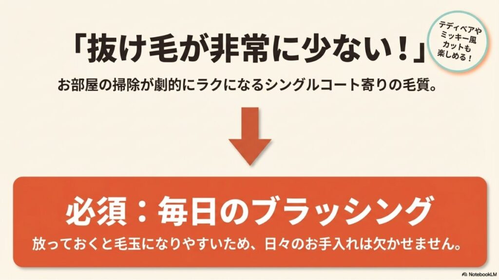 抜け毛が非常に少ないシングルコート寄りの毛質と、毎日のブラッシング、テディベアカットの楽しみ方を説明するスライド