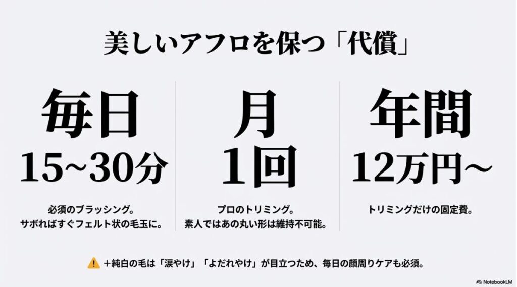 毎日のブラッシング時間（15〜30分）や月1回のトリミング、年間12万円以上の費用目安をまとめた現実的なケアのスライド