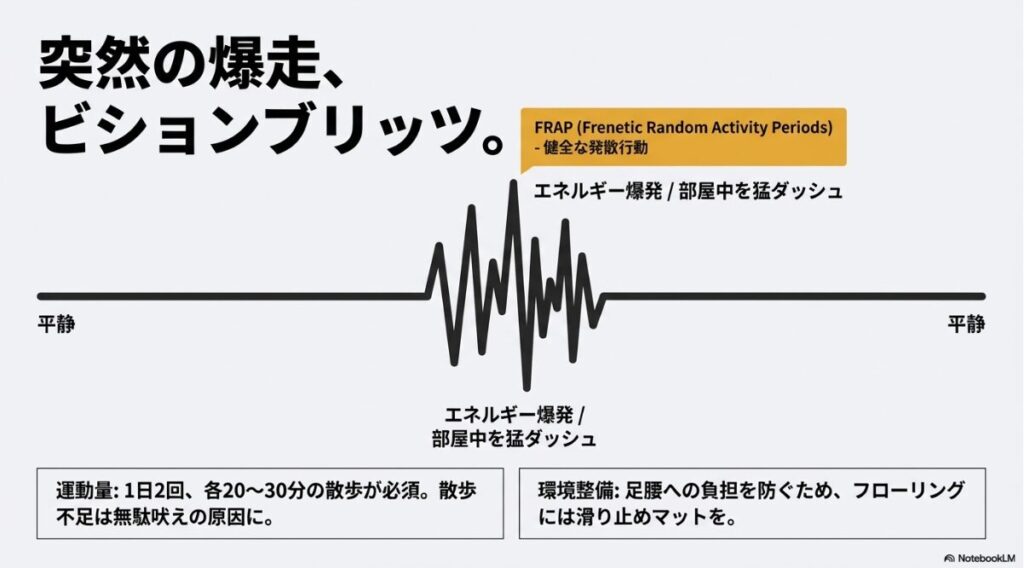 蓄積されたエネルギーを発散するために突然走り出す「ビションブリッツ（FRAP）」についての解説スライド