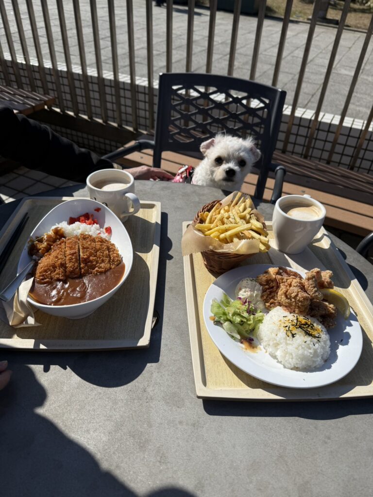葛西臨海公園で愛犬Pelと一緒にランチ「PARKLIFE CAFE & RESTAURANT」の　画像