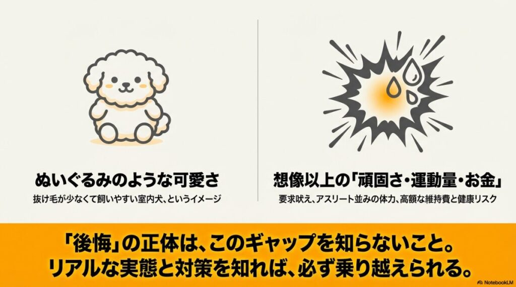 ぬいぐるみのような可愛いイメージと、要求吠えや運動量といった現実のギャップを示す比較イラスト