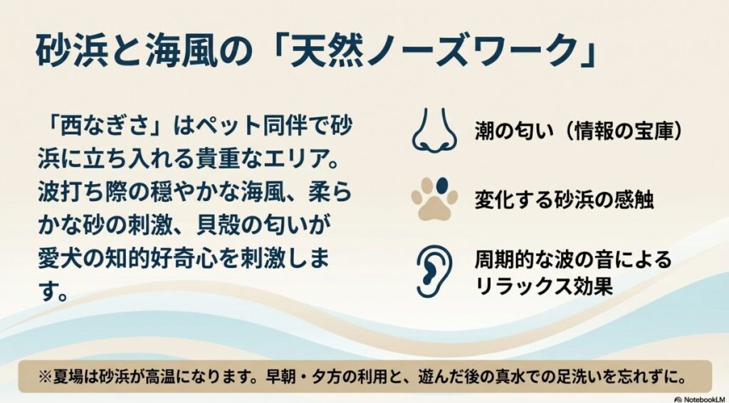 西なぎさでの砂浜散歩が、潮の匂いや波の音、砂の感触によって愛犬の知的好奇心を刺激する「天然ノーズワーク」であることを説明するスライド。