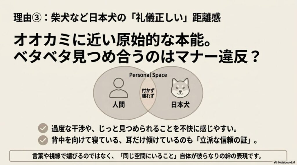 原始的な本能を持つ日本犬にとって、じっと見つめられることは不快であり、同じ空間にいること自体が絆の表現であることを示す図