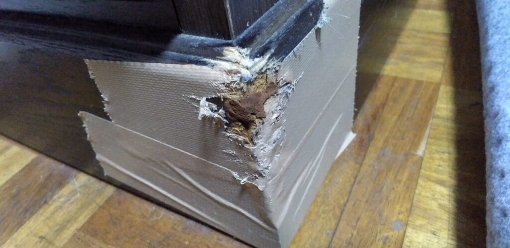 愛犬Pelに家具のカドを齧られた跡の画像・正露丸を塗って防止