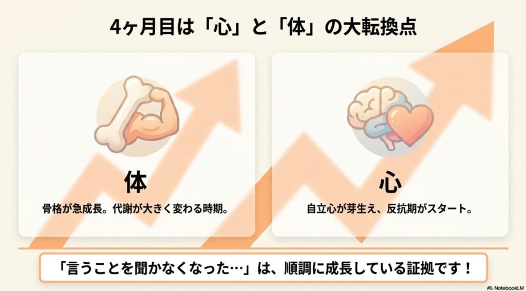 「4ヶ月目は心と体の大転換点」という文字。体は骨格が急成長し代謝が変わること、心は自立心が芽生え反抗期が始まることを示すイラスト図解。
