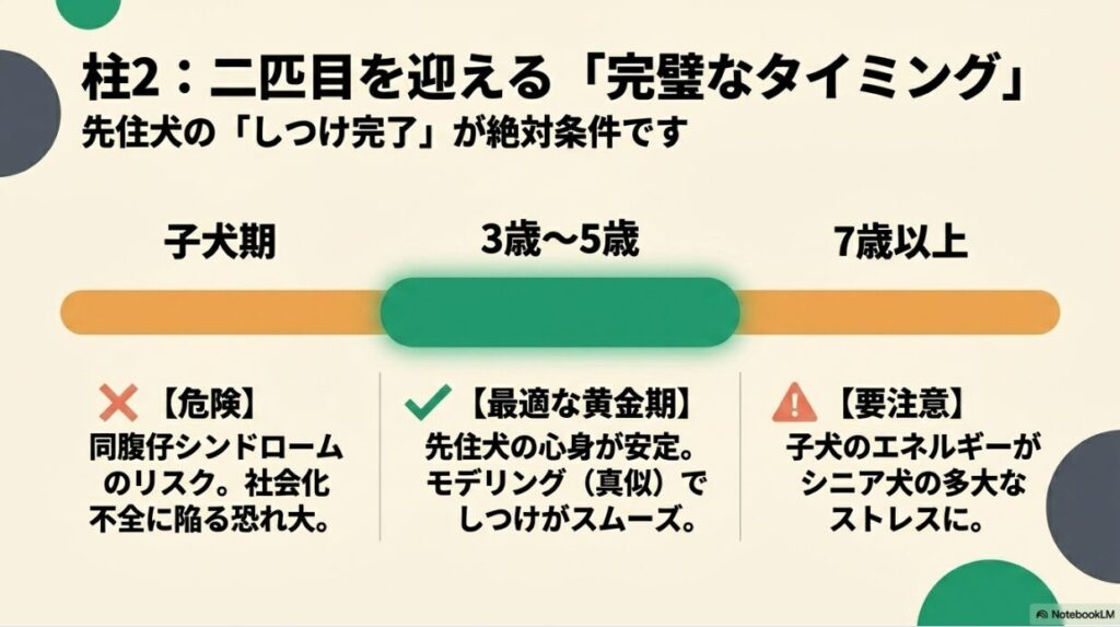 先住犬の年齢に応じた迎え入れの判断基準。3〜5歳の黄金期、子犬期の同腹仔シンドロームのリスク、シニア期（7歳以上）の注意点を解説。