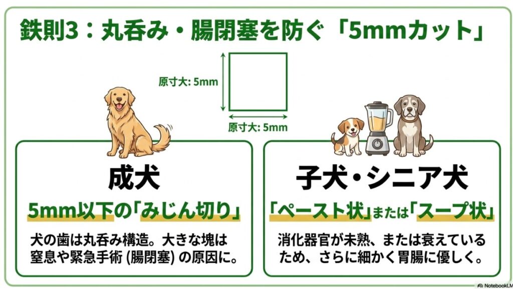 成犬は5mm以下の小粒、子犬やシニア犬はペースト状やスープ状にするなど、誤飲や腸閉塞を防ぐための具体的なカットサイズを実寸大イメージで示したスライド。