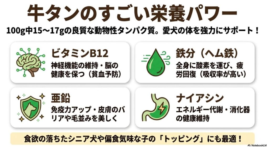 牛タンに含まれるタンパク質、ビタミンB12、亜鉛、鉄分、ナイアシンの5つの栄養素とその健康効果を図解したスライド。シニア犬や偏食気味な子のトッピングに最適であることも説明。