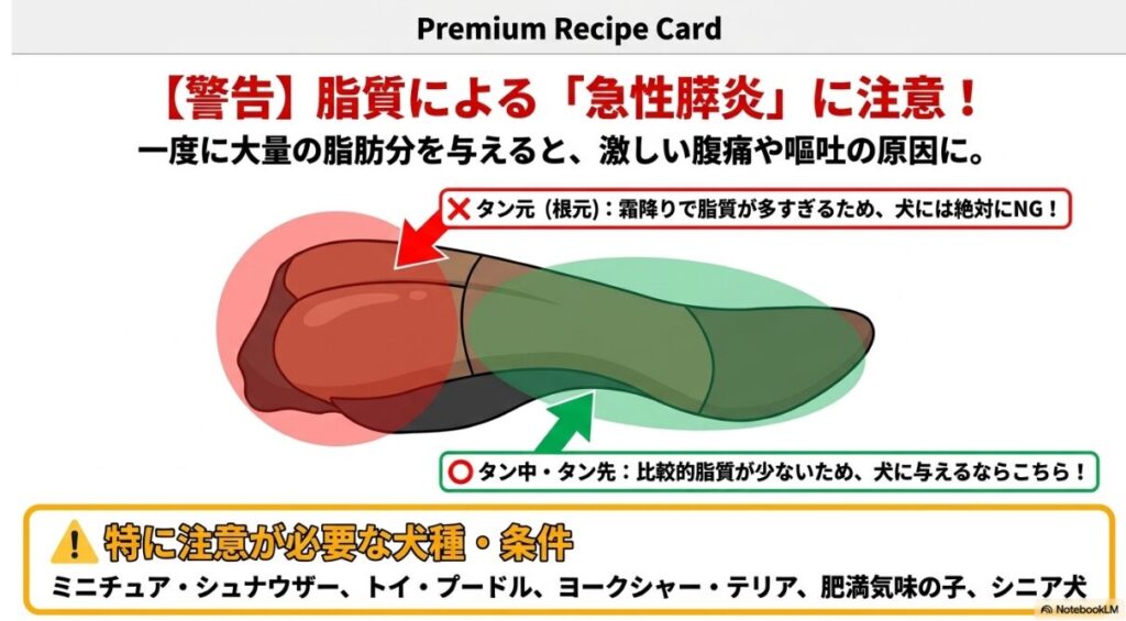 牛タンの部位図解。脂質の多い「タン元」はNG、比較的脂質が少ない「タン先・タン中」はOKと色分け。膵炎のリスクが高い特定の犬種（シュナウザー、プードル等）への警告。