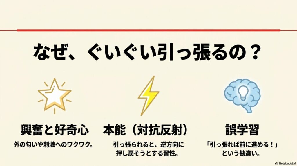 犬が散歩中にぐいぐい引っ張る3つの原因：興奮と好奇心、対抗反射という本能、引っ張れば進めると言う誤学習の図解