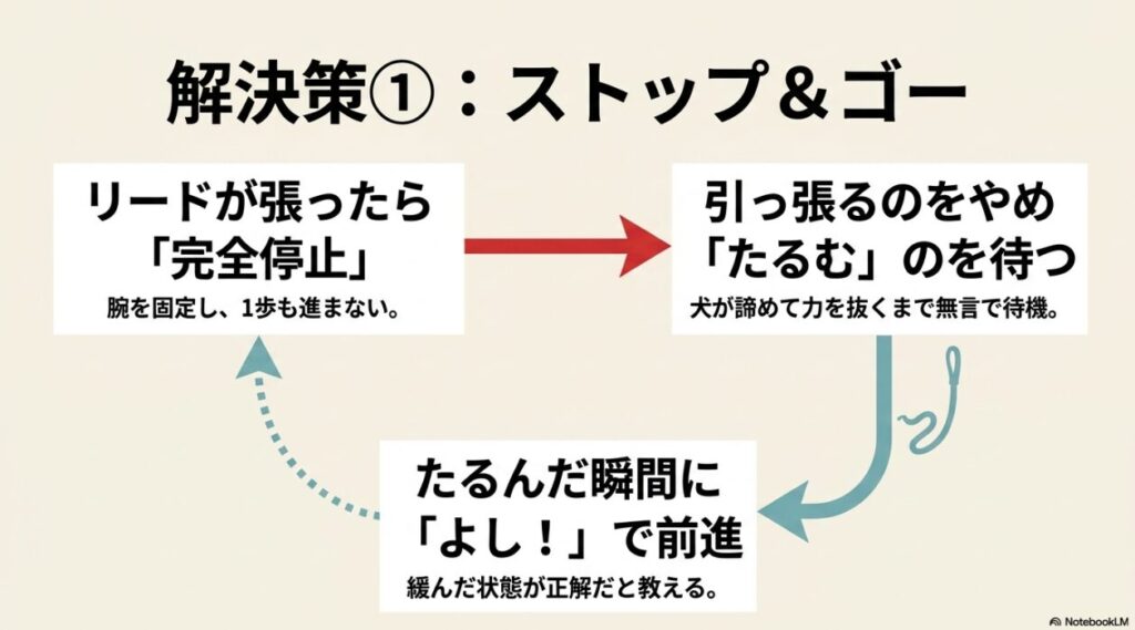 ストップ＆ゴーしつけメソッドの3ステップ：リードが張ったら完全停止、たるむのを待つ、たるんだ瞬間に合図で前進の解説図
