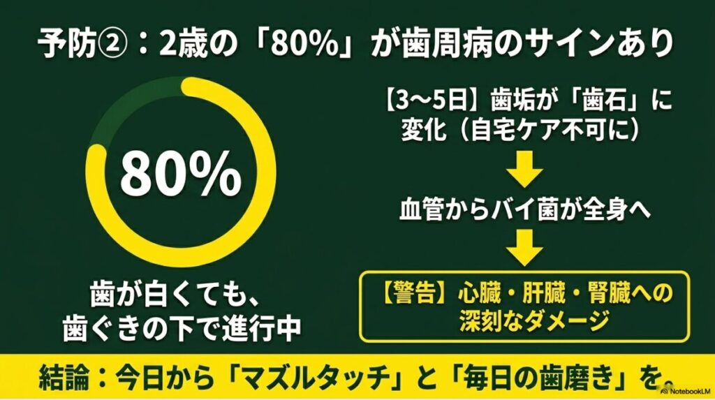 2歳犬の80%に歯周病のサインがあることと歯磨きの重要性を示すスライド