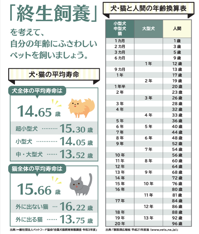 犬・猫と人間の年齢換算表のスライド
